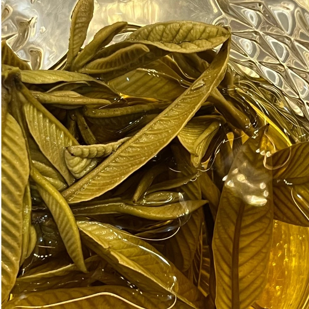 Lá ổi ngâm nước pha trà