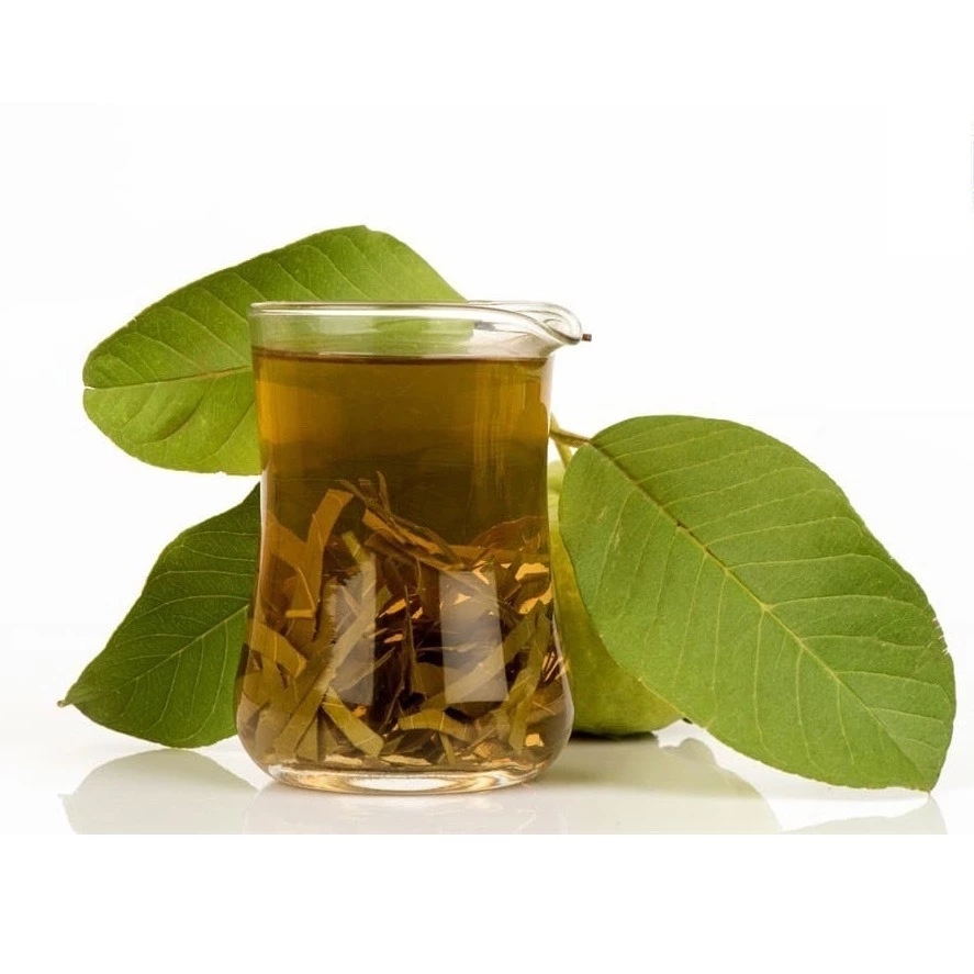 Ly trà lá ổi thành phẩm với lá ổi tươi xanh